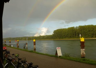 Ausflug-BV-2016-Rhein-1